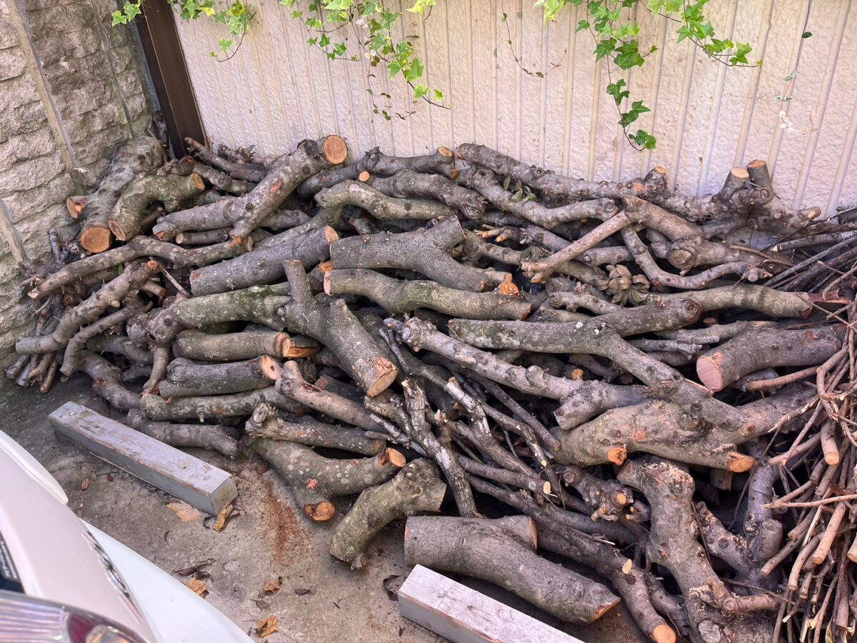 Before